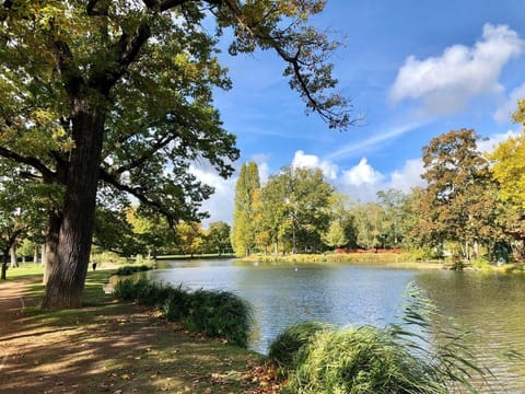 Studio au calme dans jardin à 30min de Paris avec NOUVELLE LITERIE Apartment in Chatou