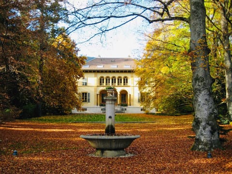 Day, Garden, Garden view