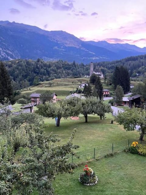 Property view