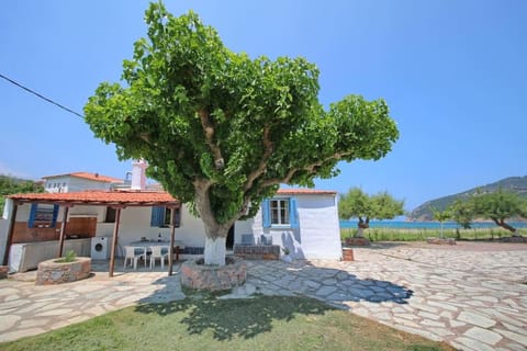 Patio, Garden, Garden view