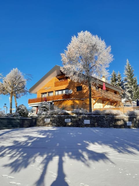 Property building, Winter