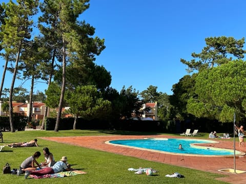 Garden, Swimming pool