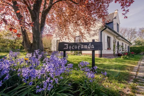 Property building, Garden, Garden view, Street view, Quiet street view