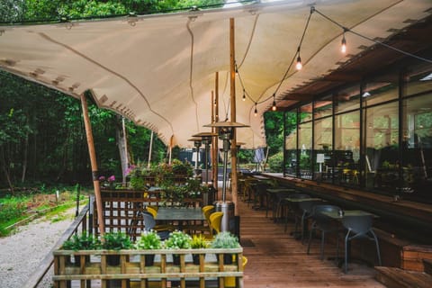 Patio, Restaurant/places to eat