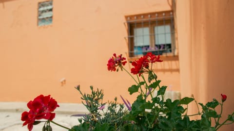 Patio, Balcony/Terrace