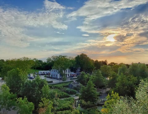 Natural landscape, Garden, Sunset