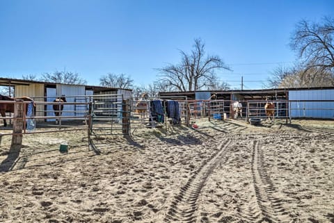 Cozy Las Cruces Apt on Pecan and Horse Farm! Condo in Las Cruces