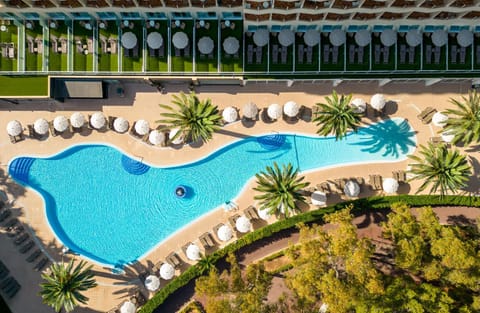 Bird's eye view, Swimming pool, sunbed