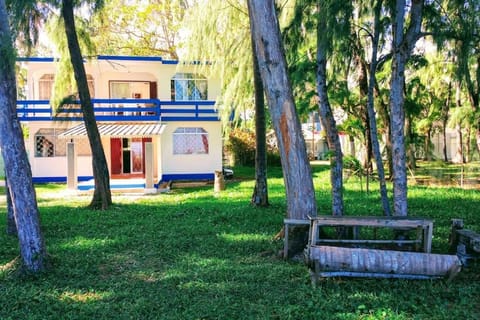 Property building, Day, Garden view