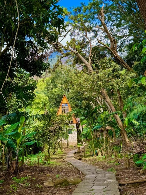 Day, Natural landscape, Garden view