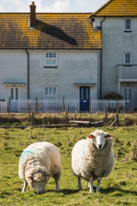 Rufty Tufty House in Camber