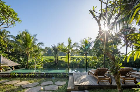 Natural landscape, Pool view, Swimming pool, sunbed