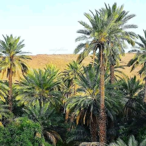 Dar Lhor Bed and Breakfast in Souss-Massa