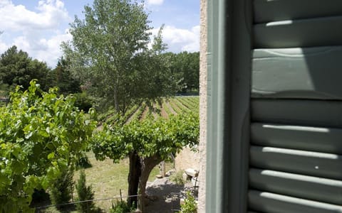La bastide d'emilie sud est House in Lorgues