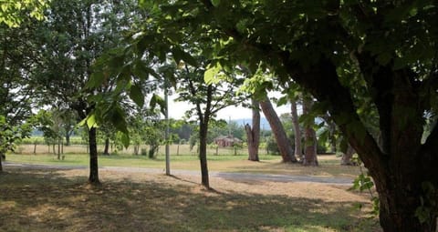 Bastide les esperifes House in Vidauban