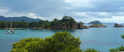 Les vendangeurs a 800 m de la mer House in La Londe-les-Maures