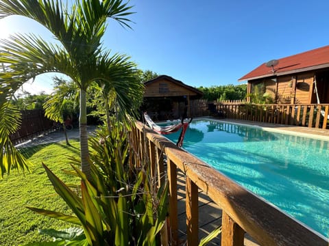 Garden, Garden view, Swimming pool