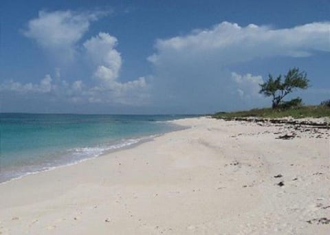 Buttonwood Reserve by Eleuthera Vacation Rentals Villa in North Eleuthera