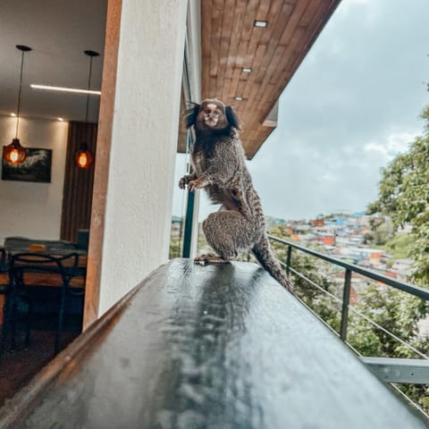 Casa Recanto da Neblina House in Duque de Caxias