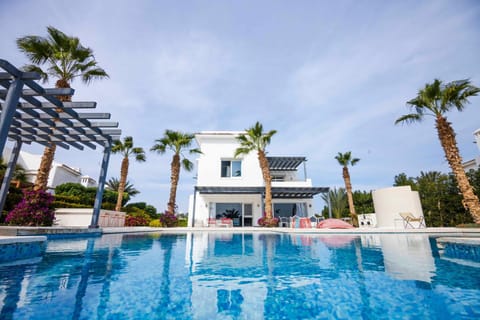 Pool view, Swimming pool, sunbed