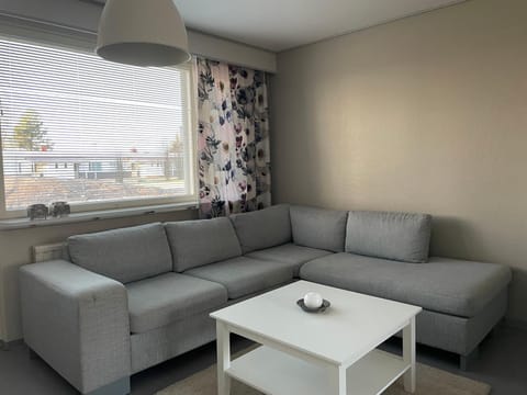 Iso huoneisto 4 Apartment in Finland