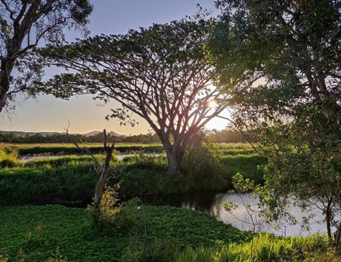 Natural landscape, Lake view