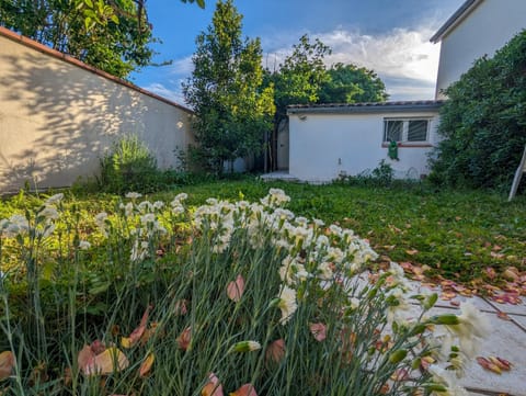 Garden, Garden view