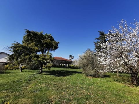 Maison Gaillacoise House in Gaillac