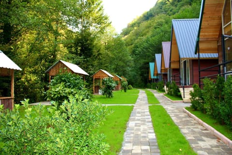 Property building, Day, Natural landscape, Garden, Garden view