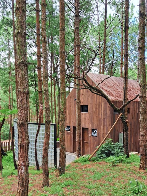 Mơ Stay - Forest Resort Estância in Dalat