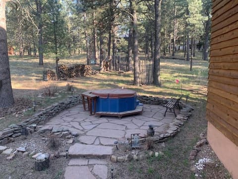 Monroe’s Chateau with Hot Tub House in Angel Fire