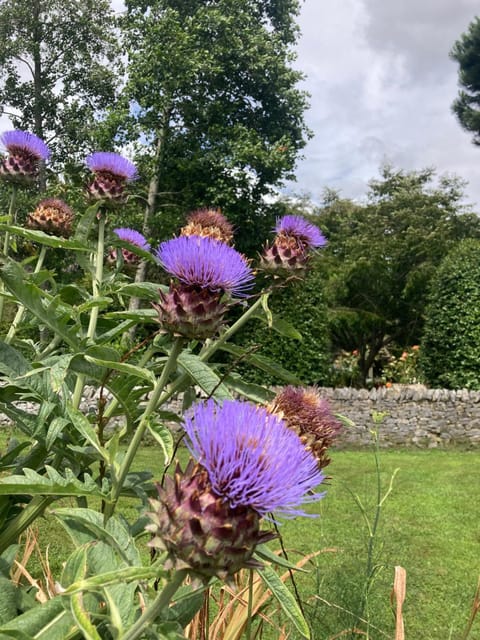 Garden, Garden view