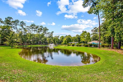 Tidewater Retreat Apartment in Little River