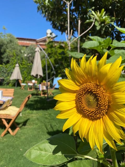 Lemon-Ada Butik Otel Hotel in Kusadasi