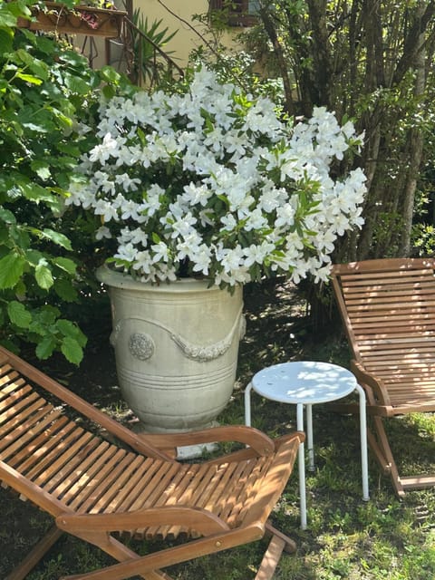 Elegante bilocale / Elegant Double Room Apartment in Fiesole