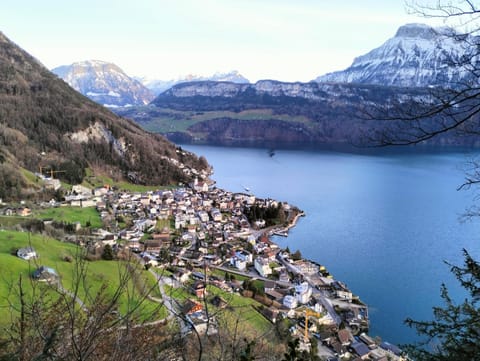 Lake view, Mountain view