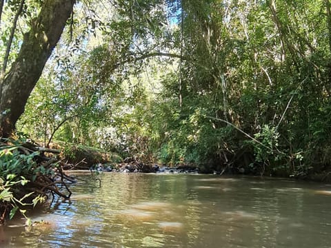 Day, Natural landscape, River view