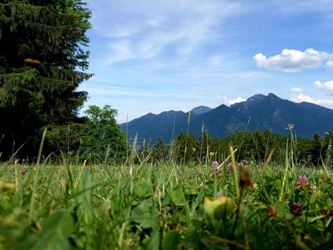 Ferienwohnung Menter Apartment in Grassau