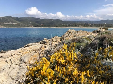 Villa Agliastru à 900m de la plage de Lozari House in Belgodère