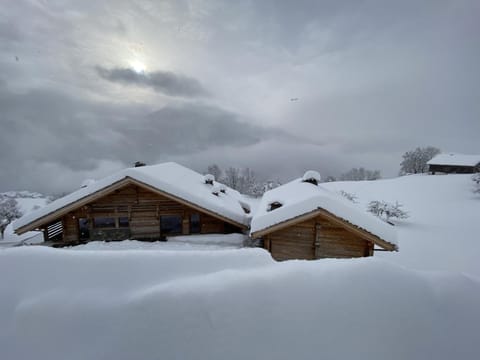 Lodge Les Murailles Chalet in Manigod