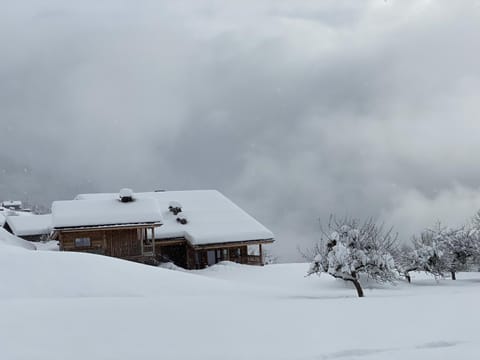 Lodge Les Murailles Chalet in Manigod