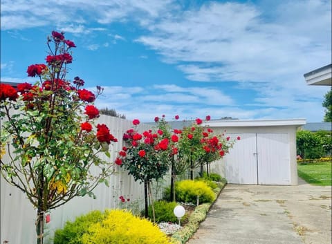 Large Bright Guest House House in Tasman District, Tasman, New Zealand