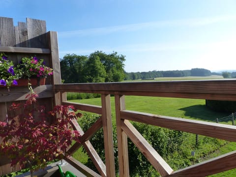 View (from property/room), Balcony/Terrace