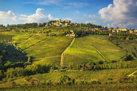 Cozy Cottage in Lamole, Tuscany Apartment in Radda in Chianti