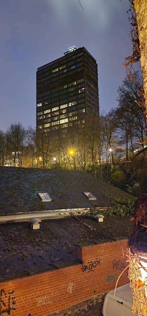 Night, Garden view