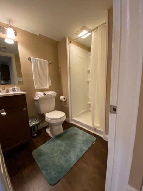 Private basement bedroom with private bathroom, kitchen, and living room with large screen television Vacation rental in Fishers
