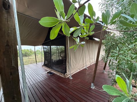 Out in Africa Wildlife Lodge Resort in Gauteng