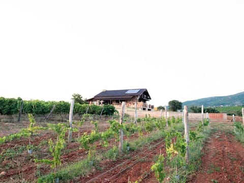 Spacious rustic country house with sea view House in Evros, Greece