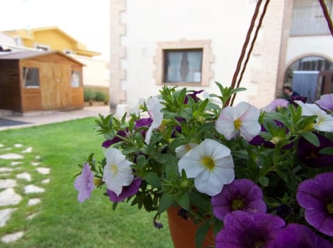 Property building, Day, Garden, Garden, Garden view