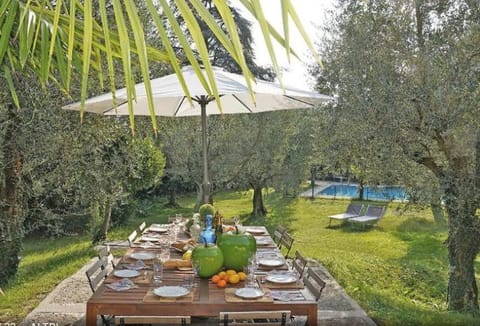 Patio, Garden, Dining area